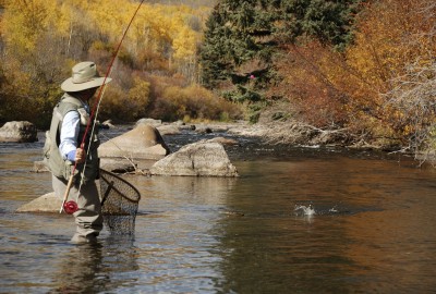 Man_Fly_Fishing Man_Fly_Fishing