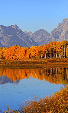 Rustic Inn at Jackson Hole | Jackson Hole Hotel