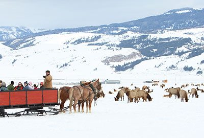 Sleigh-Ride