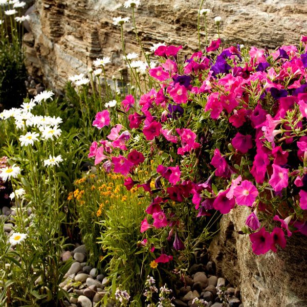 The-Rustic-Inn-Summer