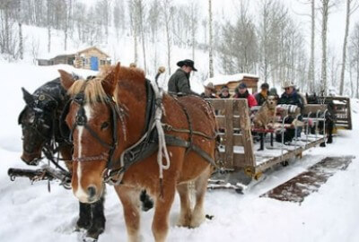 Sleigh